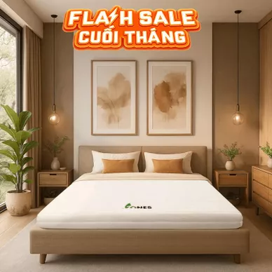 Nệm cao su Gummi 7zones nhập khẩu dày 12cm - Thumbnail