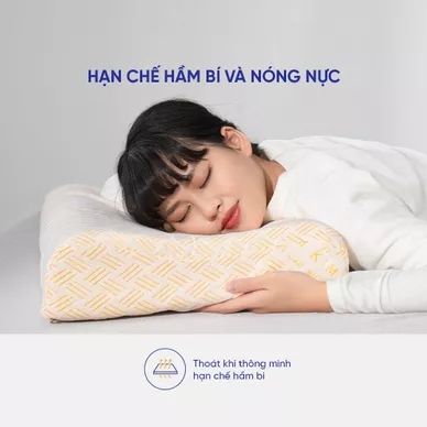 Gối cao su Kim Cương lượn sóng B - Thumbnail