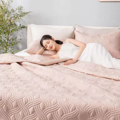Bộ chăn chần, vỏ gối Microfiber mềm mại, kháng khuẩn Amando Luna 3 chi tiết - Thumbnail
