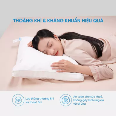 Gối lông vũ Doona Sandwich cao cấp kháng khuẩn - Thumbnail
