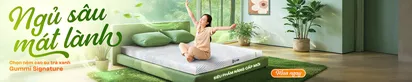 https://vuanem.com/nem-foam-icomfy-coolax.html