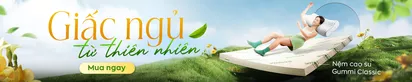 Nệm Cao Su
