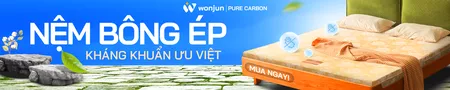 Category nệm bông ép