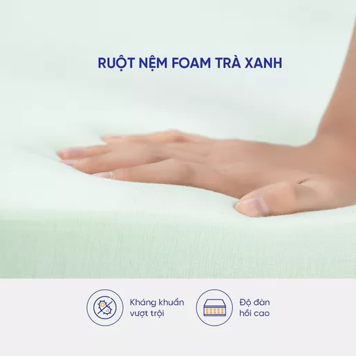 ruột nệm foam trà xanh