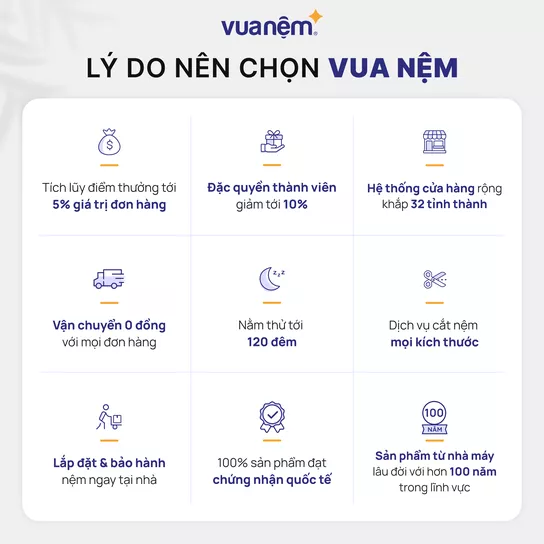 Nệm lò xo Amando Faro 5 vùng giảm đau lưng - Ảnh 7