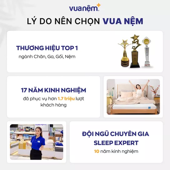 Nệm foam Goodnight Eva gấp 3 nâng đỡ dày 10cm - Ảnh 8