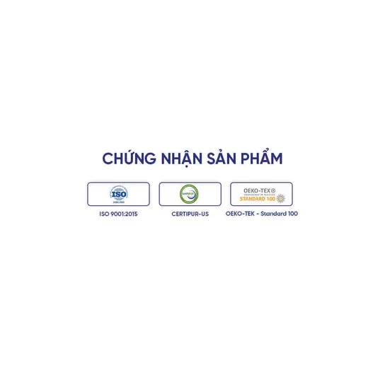 Nệm foam Comfy Lux 1.0 cao cấp kháng khuẩn kép dày 20cm - Ảnh 14