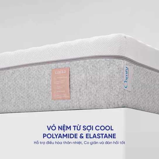 Nệm foam Comfy Lux 3.0 cao cấp tương thích toàn diện dày 25cm - Ảnh 9