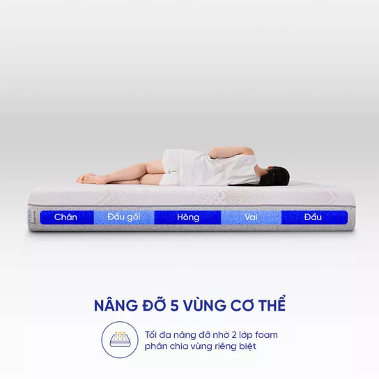 Nệm foam Comfy Lux 3.0 cao cấp tương thích toàn diện dày 25cm - Ảnh 7