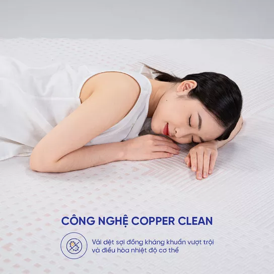 Nệm foam Comfy Lux 3.0 cao cấp tương thích toàn diện dày 25cm - Ảnh 4