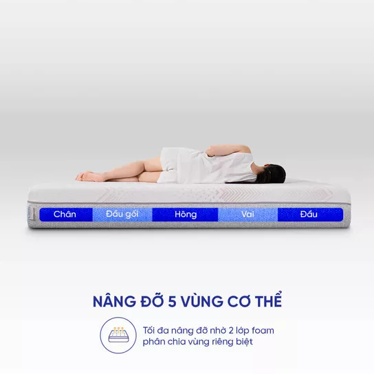 Nệm foam Comfy Lux 3.0 cao cấp tương thích toàn diện - Ảnh 10