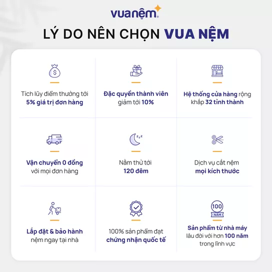 Nệm foam Comfy Lux 3.0 cao cấp tương thích toàn diện dày 25cm - Ảnh 16