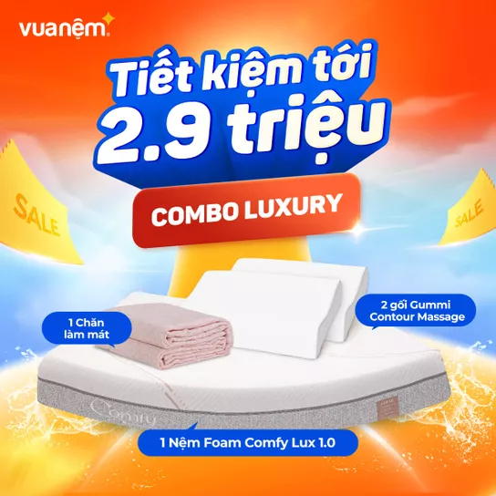 Combo Luxury: 1 nệm foam Lux 1.0, 2 gối Gummi Contour Massage, 1 Chăn làm mát - Ảnh 1