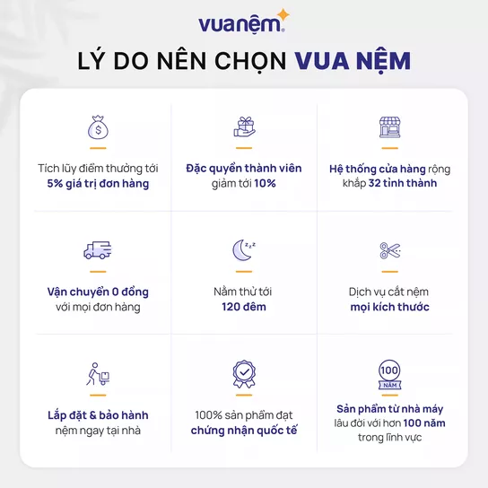 Nệm cao su thiên nhiên Gummi Premium detox giấc ngủ dày 10cm - Ảnh 13