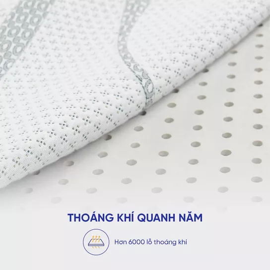 Nệm cao su thiên nhiên Gummi Premium detox giấc ngủ dày 10cm - Ảnh 8