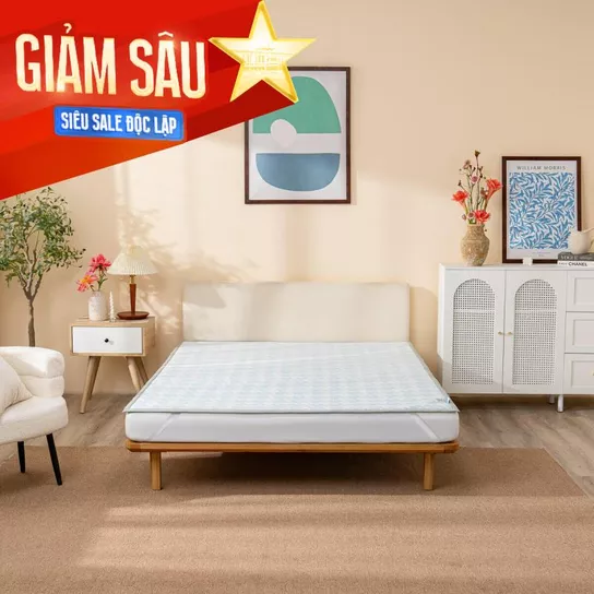 Chiếu điều hòa Doona Wave 5D làm mát, tản nhiệt - Ảnh 1