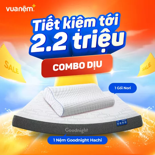 Combo Dịu (Nệm Hachi, 1 Gối Nori 1.0) - Ảnh 1