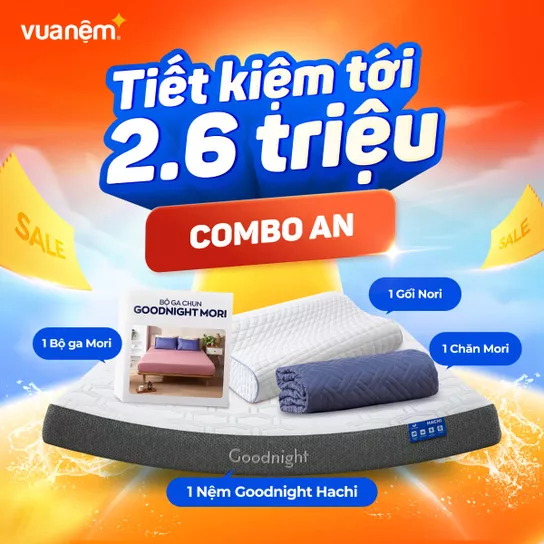 Combo An (Nệm Hachi, 1 Gối Nori, 1 Chăn Mori, 1 Bộ ga chun Mori) - Ảnh 1