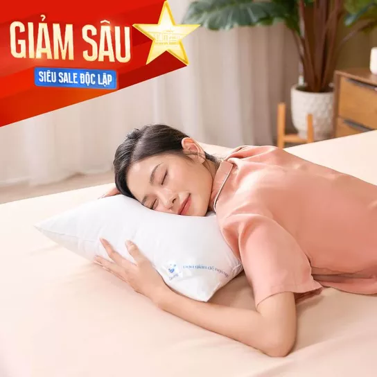 Gối lông vũ nhân tạo Goodnight Mochi siêu êm chuẩn khách sạn 5 sao - Thumbnail