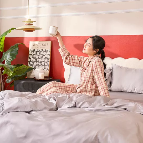 Bộ ga gối tencel cao cấp Goodnight Luxsilk - Ảnh 5