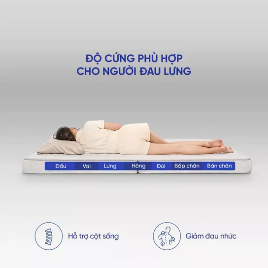 Nệm bông ép cao cấp Wonjun Pure Premium nâng đỡ vững chắc dày 12cm - Ảnh 14