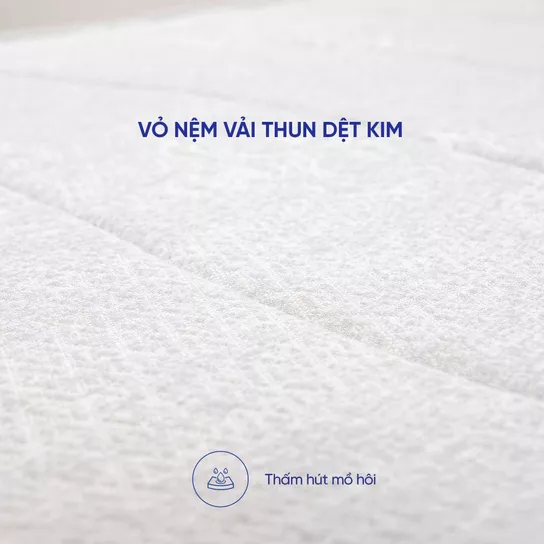 Nệm bông ép cao cấp Wonjun Pure Premium nâng đỡ vững chắc dày 12cm - Ảnh 15