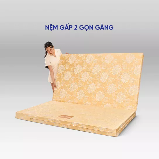 Nệm Bông ép Wonjun Pure Carbon kháng khuẩn ưu việt dày 10cm - Ảnh 11