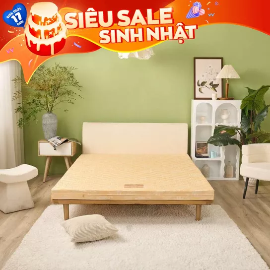 Nệm Bông ép Wonjun Pure Carbon kháng khuẩn ưu việt dày 10cm - Ảnh 2