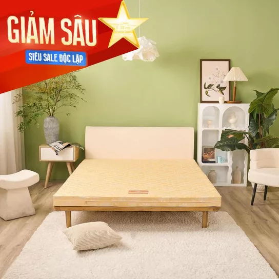 Nệm Bông ép Wonjun Pure Carbon kháng khuẩn ưu việt dày 10cm - Ảnh 1