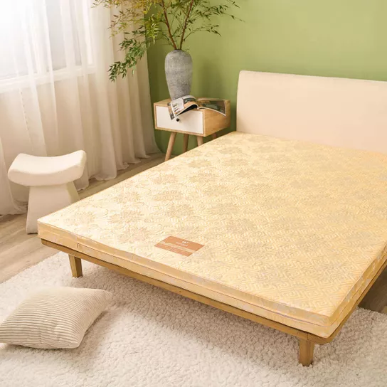 Nệm Bông ép Wonjun Pure Carbon kháng khuẩn ưu việt dày 10cm - Ảnh 4