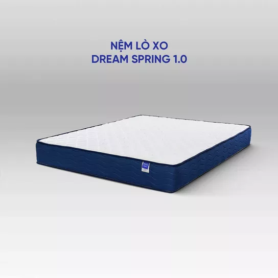 Nệm lò xo Dream Spring cách ly chuyển động dày 25cm - Ảnh 3