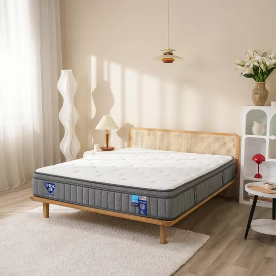 Nệm lò xo Spring Air Back Supporter Firm Cool nâng đỡ làm mát dày 26cm - Ảnh 2