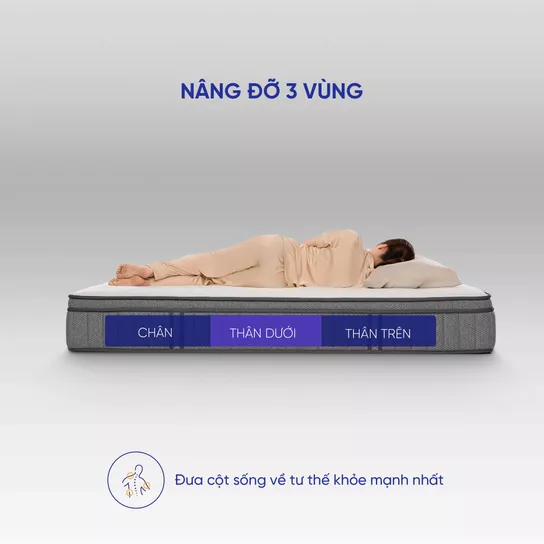Nệm lò xo Spring Air Back Supporter Firm Cool nâng đỡ làm mát dày 26cm - Ảnh 8