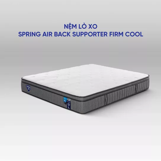 Nệm lò xo Spring Air Back Supporter Firm Cool nâng đỡ làm mát dày 26cm - Ảnh 7