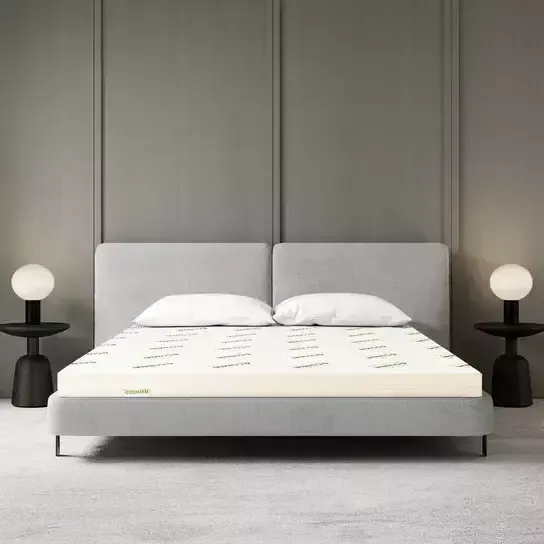 Nệm cao su Gummi Standard - Ảnh 1