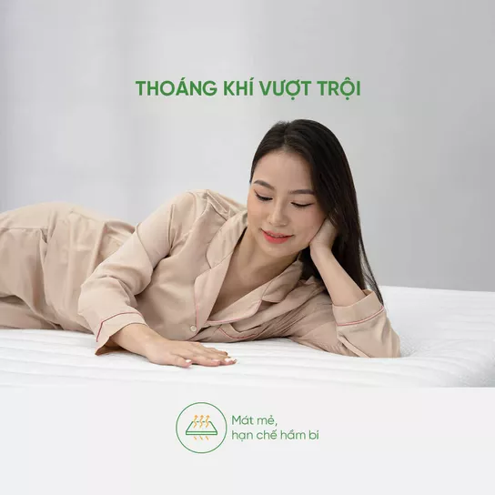 (Tặng máy lọc không khí) Nệm cao su cao cấp Gummi Legend nhập khẩu dày 20cm - Thumbnail