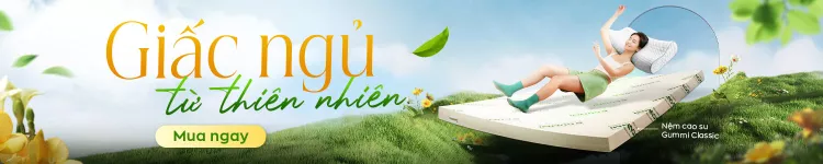 Nệm Cao Su