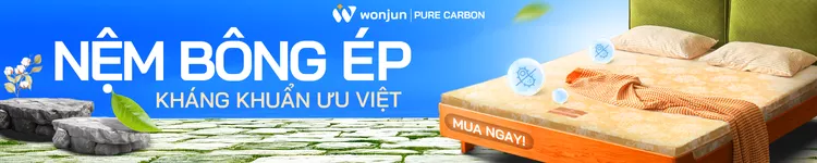 Category nệm bông ép