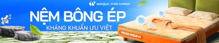 Category nệm bông ép