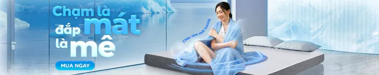 Chăn