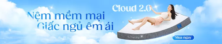 Nệm Foam