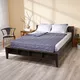 Tặng 01 vỏ chăn Amando Wellness