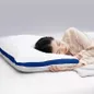 Combo Nệm chào hè: 01 đệm Wonjun, 02 gối Microfiber, 01 bộ ga chun Rina/Chiếu điều hòa Aqua - Ảnh thumb 10