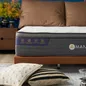 Combo Lò xo điều hòa: 01 Đệm Elite Grand, 01 Bộ Ga chun Bliss, 02 gối foam - Ảnh thumb 3