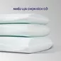 Combo Tiết kiệm: 01 Đệm Fold 4.0, 02 gối Sofy Air, 01 Chiếu điều hòa Aqua/ Aero 3D - Ảnh thumb 6