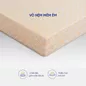 Nệm cao su Kim Cương Happy Gold dày 5/10/15cm - Ảnh thumb 4