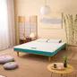 Nệm foam Nhật Bản Aeroflow Standard nâng đỡ cơ thể dày 12cm - Ảnh thumb 2