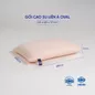Gối Cao Su Liên Á Oval đàn hồi cao - Ảnh thumb 1