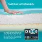 Nệm foam Nhật Bản Aeroflow Fit Plus kháng khuẩn dày 20cm - Ảnh thumb 5