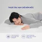 Nệm lò xo Therapedic Premium Innergy dày 28cm (Phiên bản giới hạn) - Ảnh thumb 8